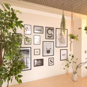 イベントや展示会で植物をレンタルするならグリーンレンタル！のサムネイル