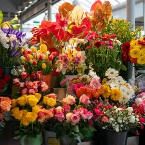 イベント会場を華やかにする！植物をレンタルするとよい理由を解説のサムネイル