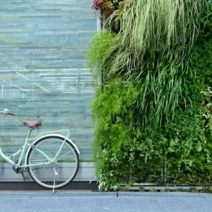 壁面緑化は人にも環境にもやさしい！壁面緑化の魅力についてご紹介！のサムネイル